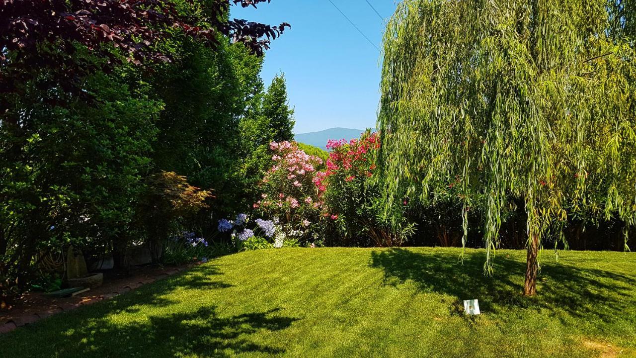 Asso Bed & Breakfast Manerba del Garda Exterior photo